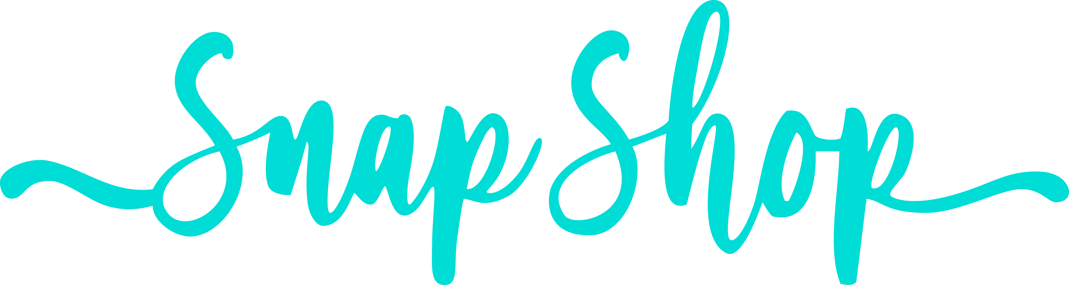 SnapShop Logo